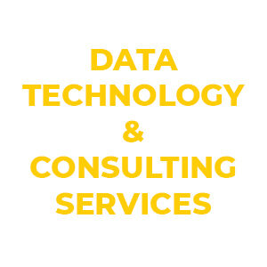 Data tech consultoría y servicios con sap b1