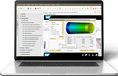 crm y ventas 80 - SAP B1