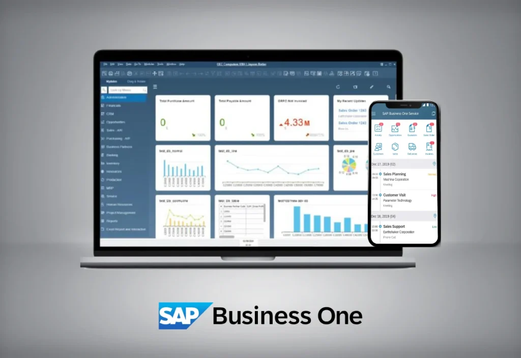 22- SAP Business One México 1 - SAP B1 Diseno sin titulo 9 - SAP B1