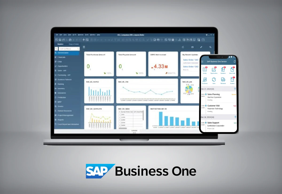 22- SAP Business One México 2 - SAP B1 Diseno sin titulo 9 - SAP B1