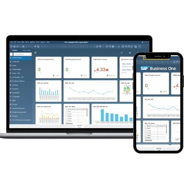 SAP B1 en empresas de alimentos y bebidas con Corponet 5 - SAP B1 CN Elementos 2025 8 - SAP B1