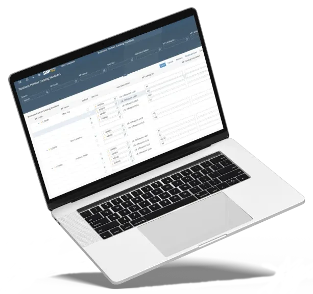 8636591 30 2 1 - SAP B1