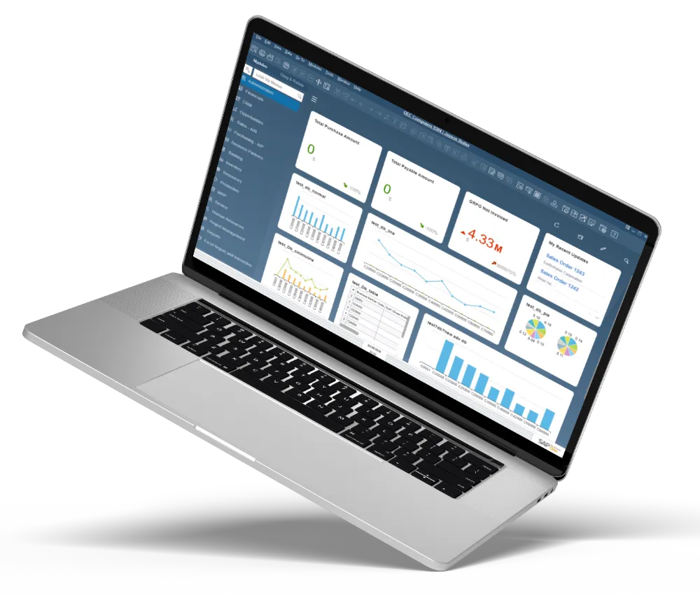 9218197 71 1 opt - SAP B1