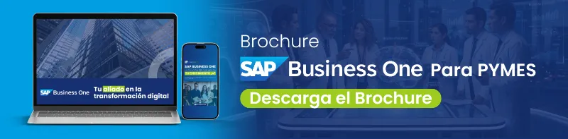 Brochure SAP B1