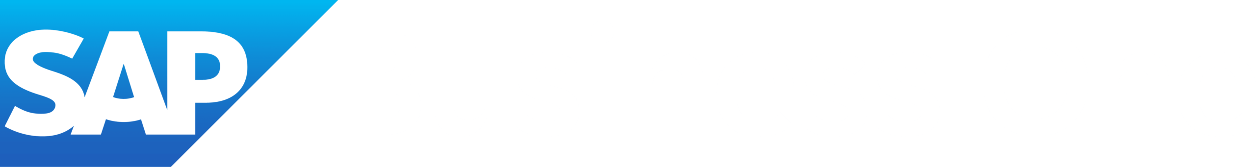 Logo SAP Business One