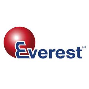 Logo Grupo Everest